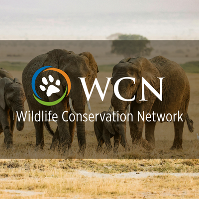 1-Apr-13-2026-09-17-15-0928-PM