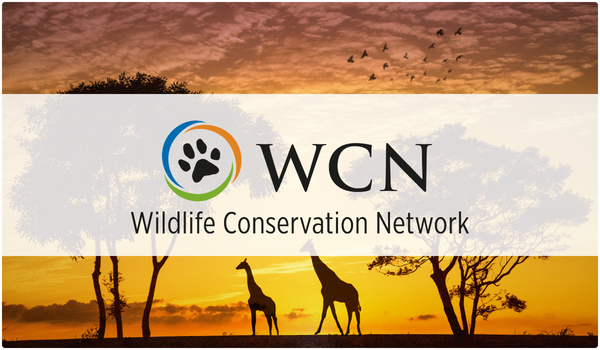 Wildlife Conservation Network (1)